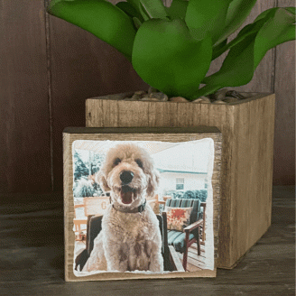 4X4 COLOR PHOTO BLOCK